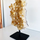 Citrine Cluster w/ Stand - #1